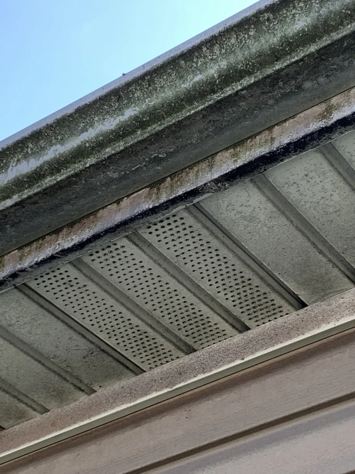 Close-up of black streaking and biological growth along an aluminum gutter and roof edge