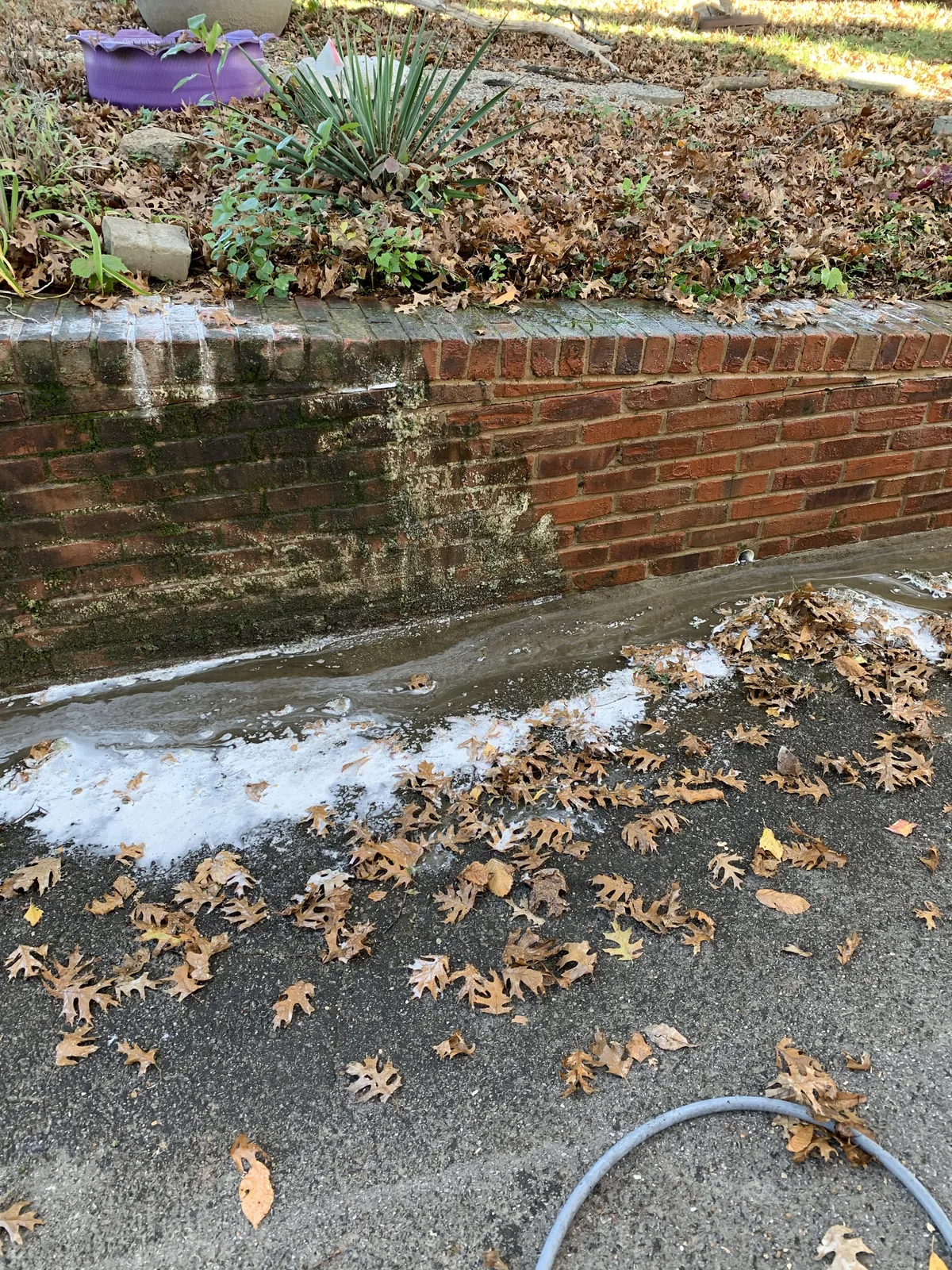 Fallen autumn leaves along a brick retaining wall being washed