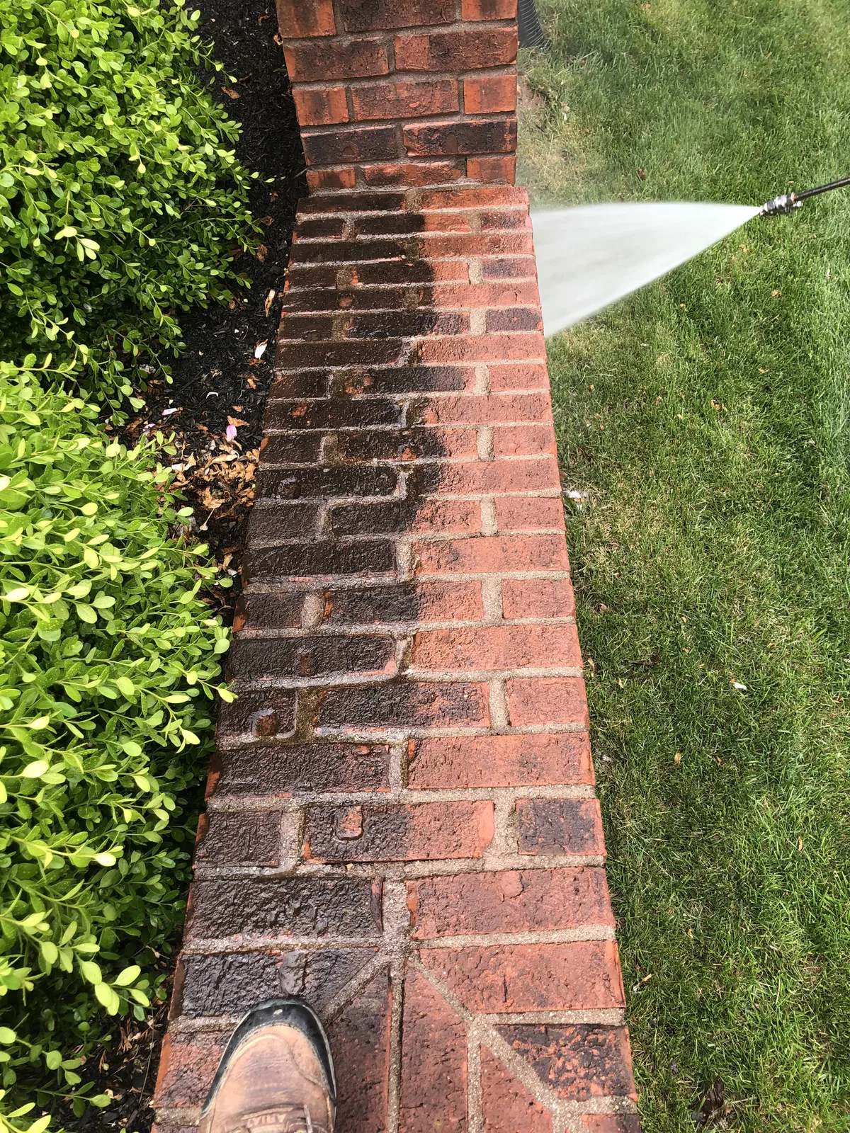 Soft washing brick edging directly alongside established shrubs and landscaping