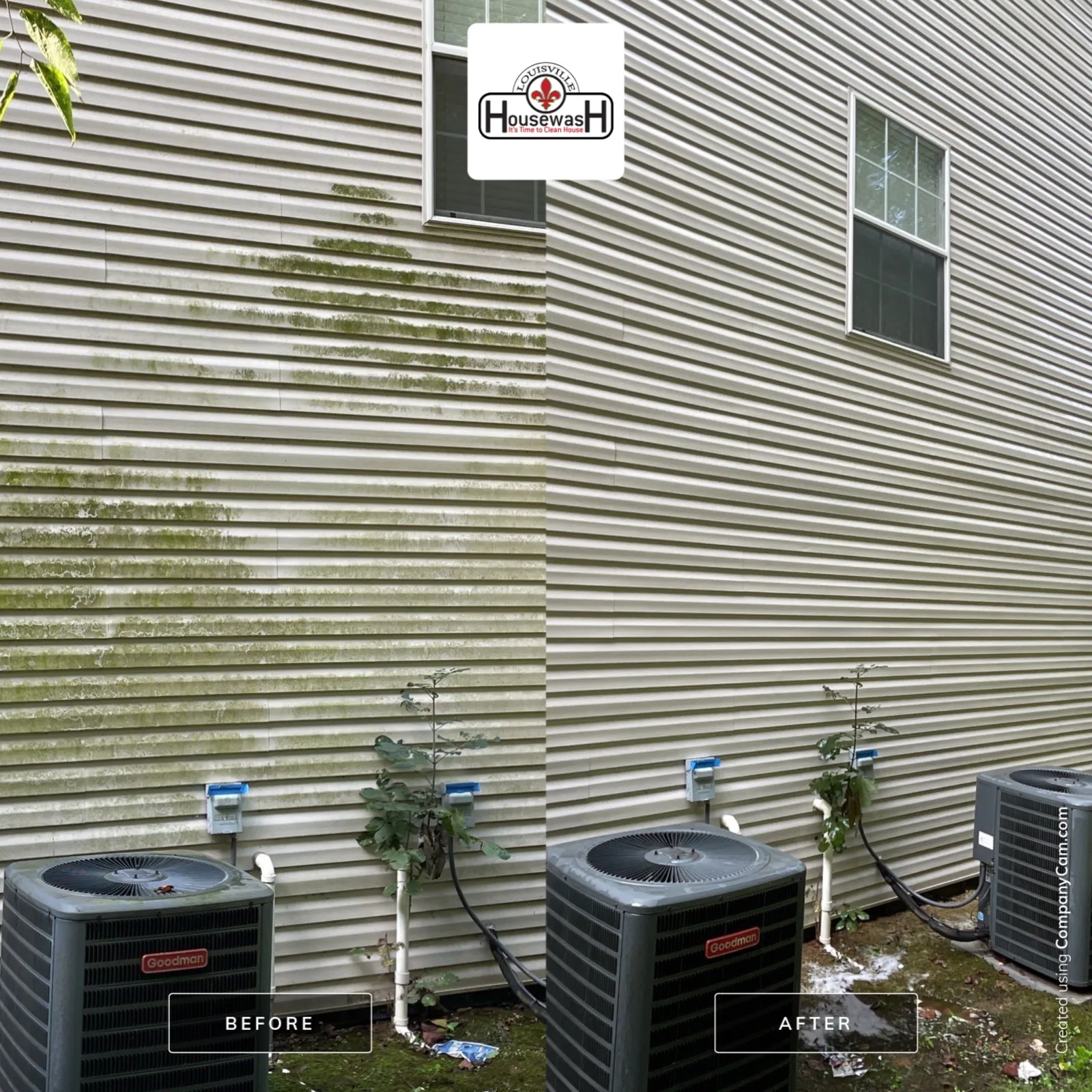 Vinyl siding before and after a full house soft wash on a Louisville home